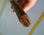 280220132404.jpg