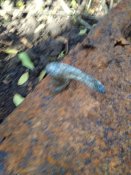 IMG_20201023_101006.jpg
