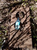 IMG_20201023_113605.jpg