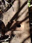 IMG_20201023_113720.jpg