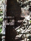 IMG_20201023_113739.jpg