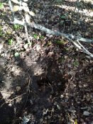 IMG_20201023_120003.jpg