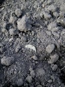 IMG_20201023_141516.jpg