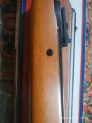 IMG_20201024_153813.jpg