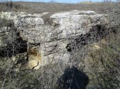 IMG_20130317_091333.jpg