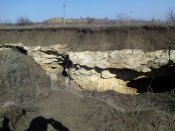 IMG_20130317_091405.jpg