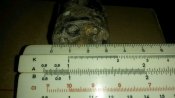 20201024_184735.jpg