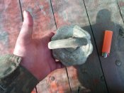 IMG_20201025_120822.jpg