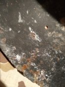 IMG_20201025_153528.jpg