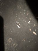 IMG_20201025_153424.jpg