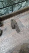 IMG_20201025_184710.jpg