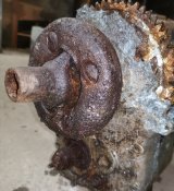 IMG_20201025_204617.jpg