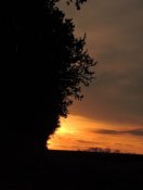 DSCN3363.JPG