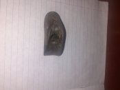 20201026_202558.jpg