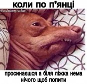 изображение_viber_2020-10-24_09-29-471.jpg