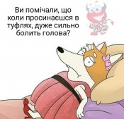 изображение_viber_2020-10-24_13-58-00.jpg