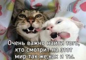 изображение_viber_2020-10-24_19-25-20.jpg