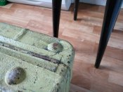 IMG_20201027_070859.jpg