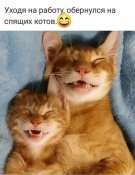 изображение_viber_2020-10-28_09-03-36.jpg