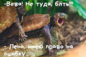 изображение_viber_2020-10-28_09-09-05.jpg