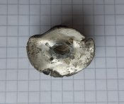 20201028_135809.jpg
