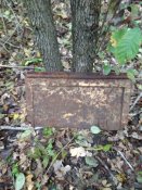 IMG_20201028_141035.jpg