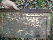 IMG_20201028_141028.jpg