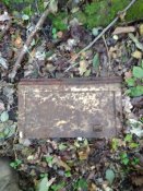 IMG_20201028_141018.jpg