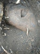 IMG_20201028_115814.jpg