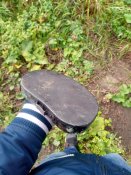 IMG_20201028_115429.jpg