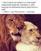 изображение_viber_2020-10-28_14-42-13.jpg