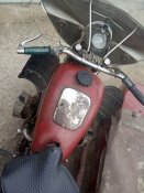 IMG_20201029_120621.jpg