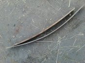 IMG_20201029_145441.jpg