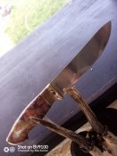 IMG_20201029_131055_3.jpg