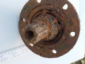 IMG_20201029_155207.jpg