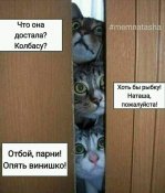изображение_viber_2020-10-30_11-05-14.jpg