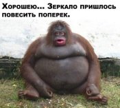 изображение_viber_2020-10-29_20-27-471.jpg