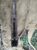 IMG_20201031_080137.jpg