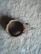 DSC03011.JPG