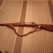IMG20201031161106.jpg