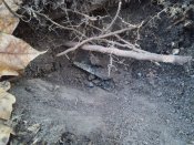 IMG_20201020_110323.jpg