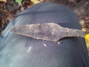 IMG_20201020_110341.jpg