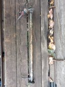 IMG_20201101_154738.jpg