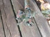 IMG_20201101_154855.jpg