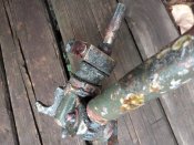 IMG_20201101_154917.jpg