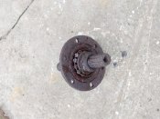 IMG_20201101_115335.jpg