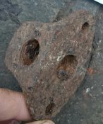 _20201101_181015.JPG
