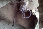 IMG-20201030-51272.jpg