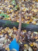 IMG_20201031_130646_BURST004.jpg