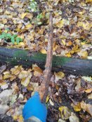 IMG_20201031_130646_BURST005.jpg